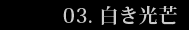 白き光芒